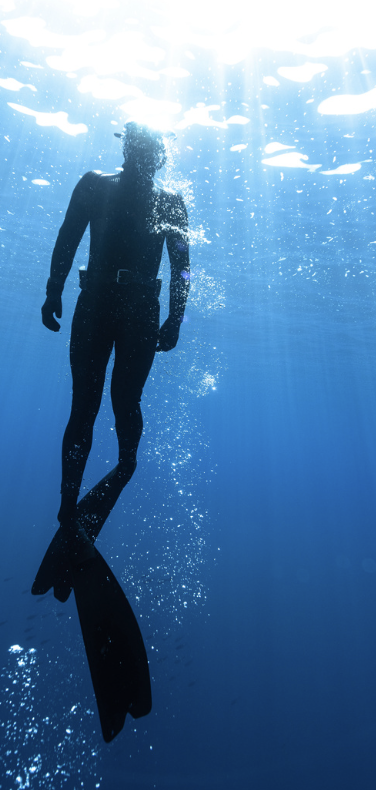 Kumbra diving